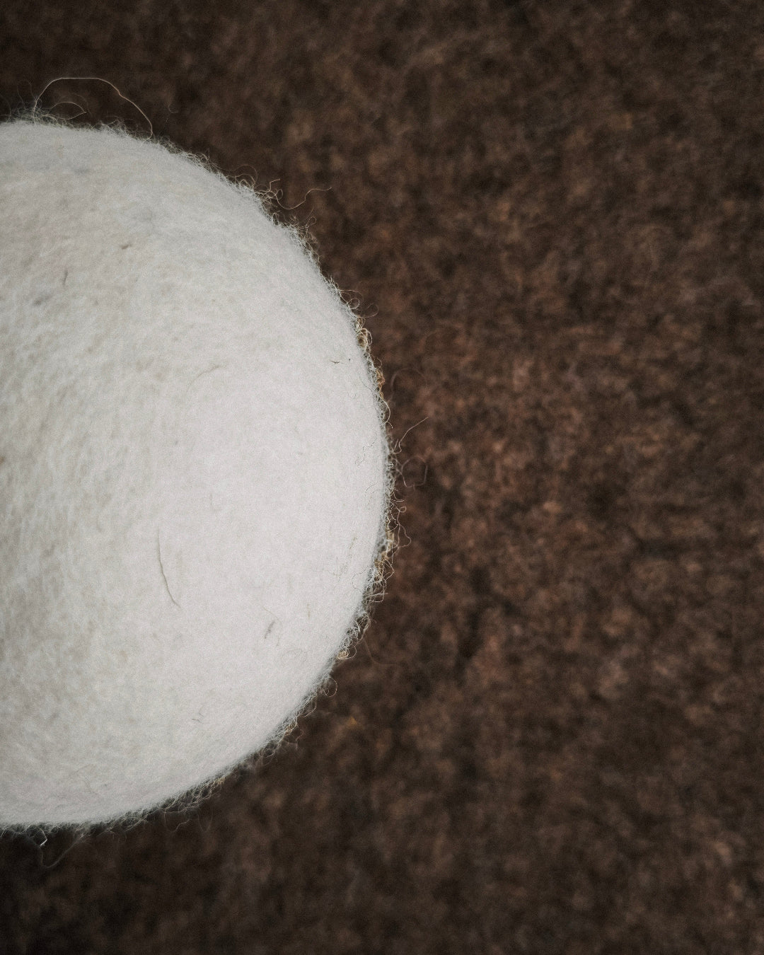 Close-up of hand-felted wool wall art showing natural white sphere and textured brown surface